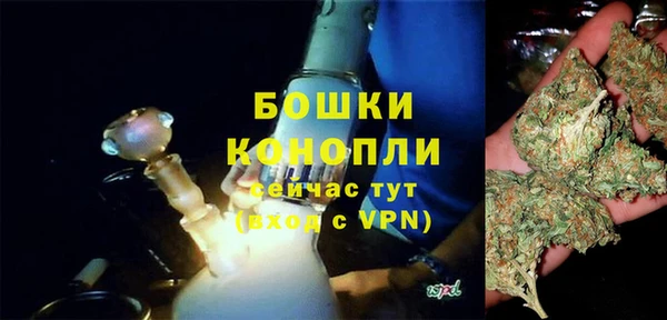 сатива Балахна
