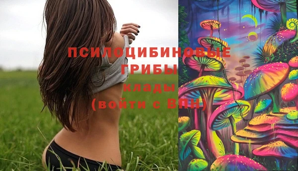 сатива Балахна