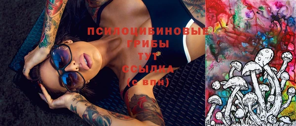 spice Семилуки