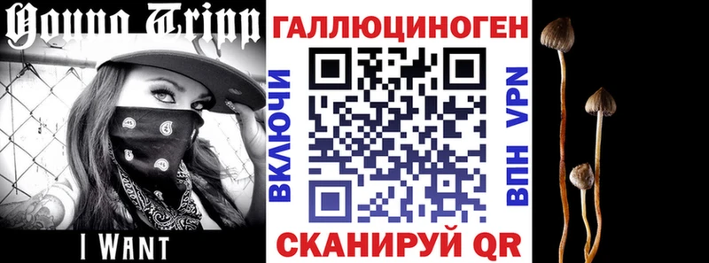 blacksprut вход  Верхний Уфалей  Псилоцибиновые грибы Cubensis  купить  цена 